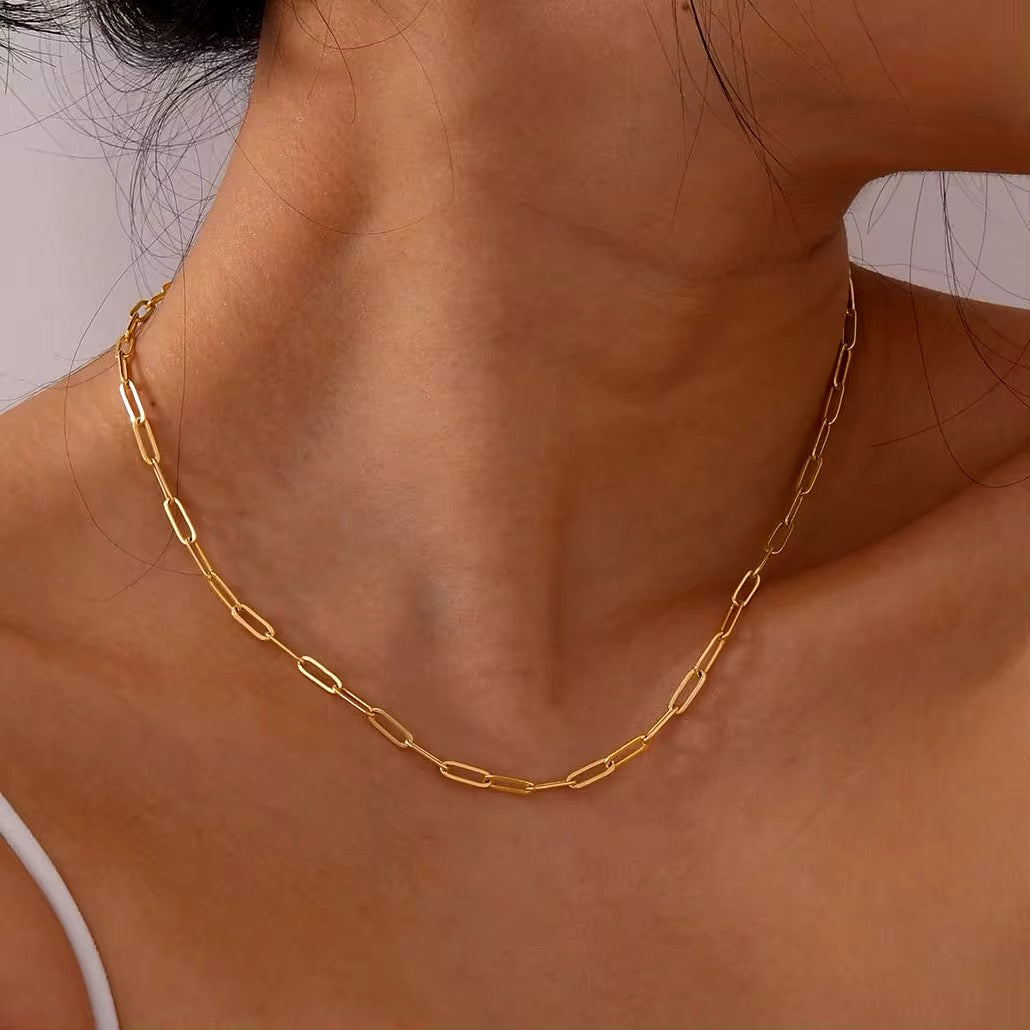 Cleopatra’s Roestvrijstalen Ketting Gouden Kleur Titanium Staal